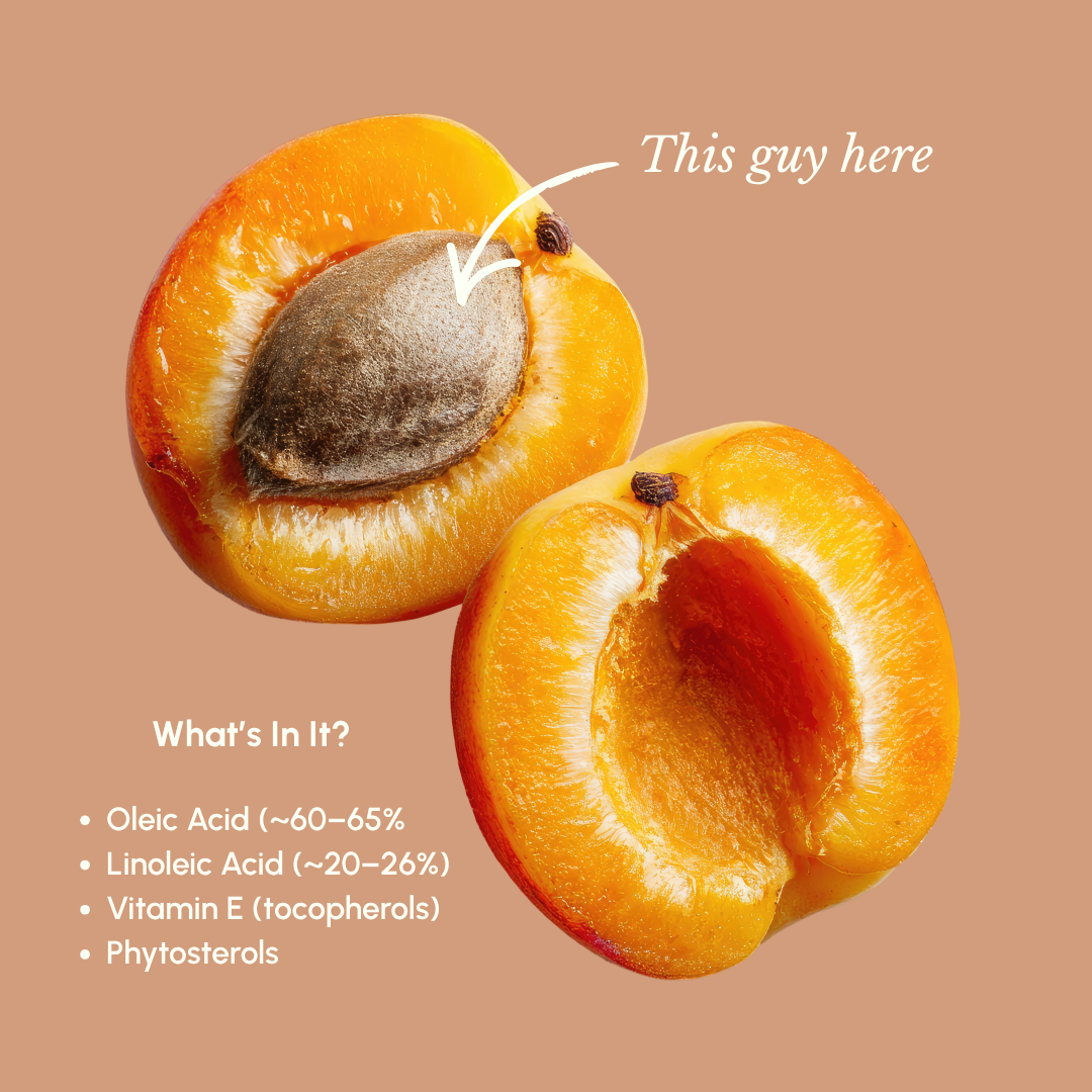 Apricot Kernel Oil: The Underrated Carrier Oil Your Formulations Actually Need